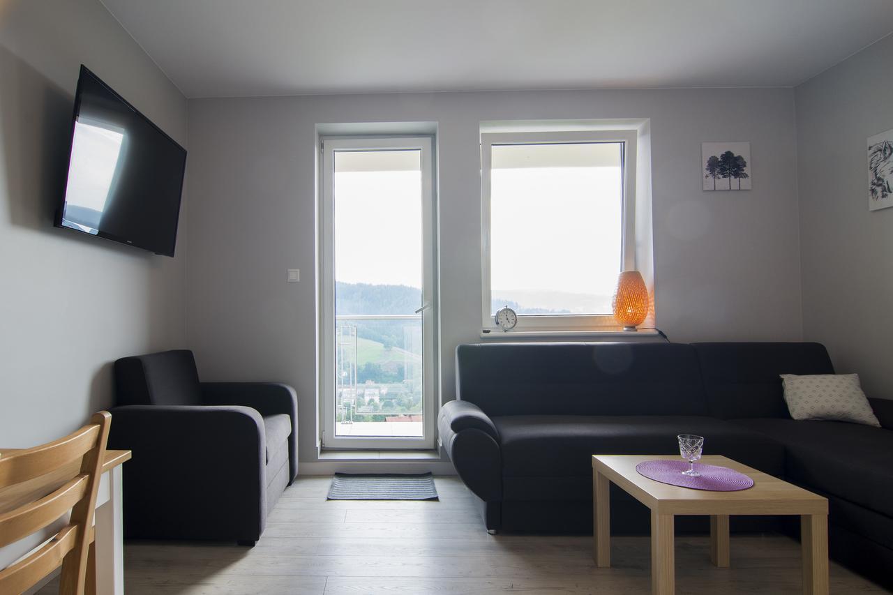 Apartamenty Sun&Snow Kamienna Wisła Zewnętrze zdjęcie