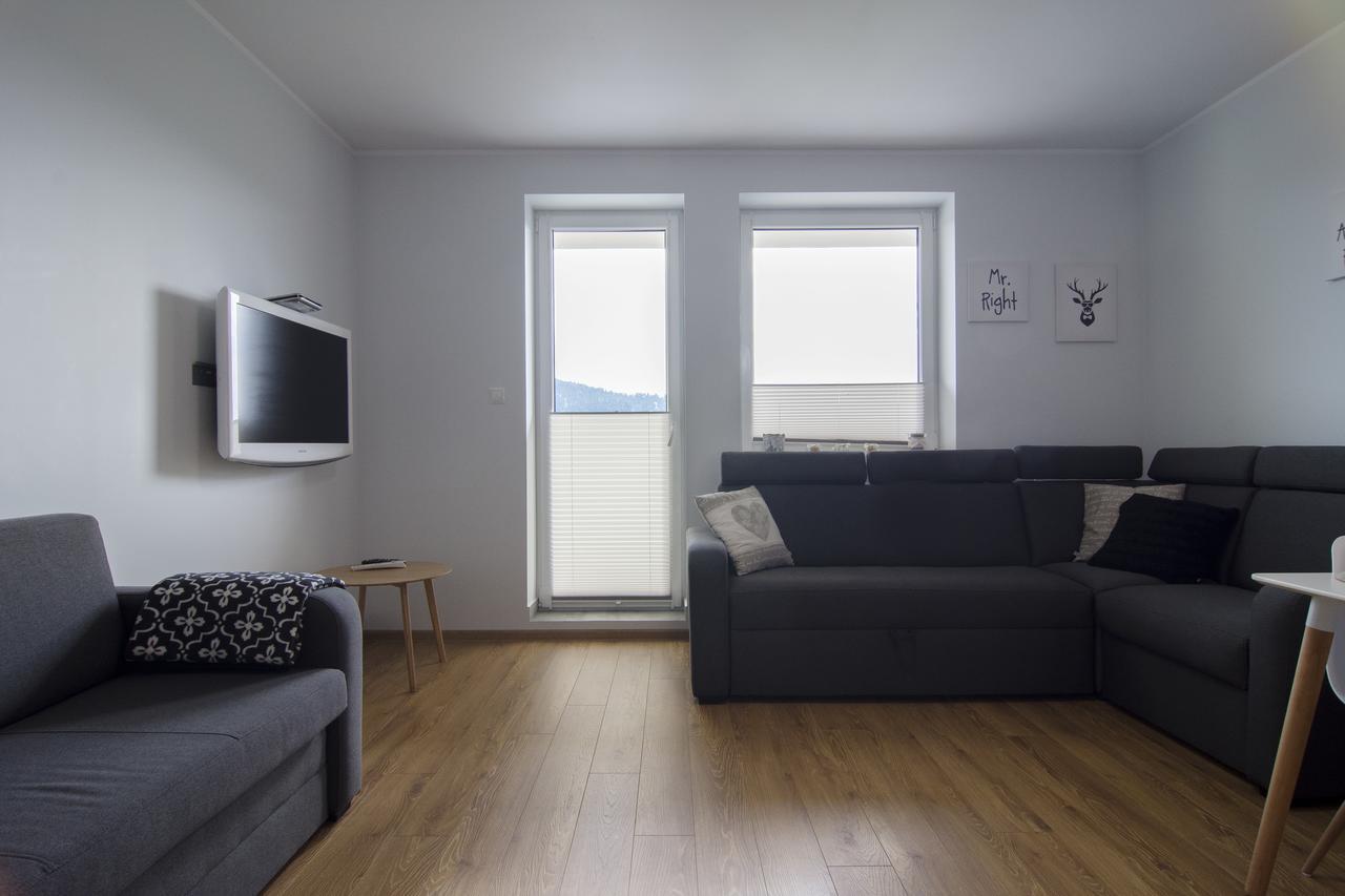 Apartamenty Sun&Snow Kamienna Wisła Zewnętrze zdjęcie
